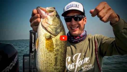 Deep Weed Bass Fishing