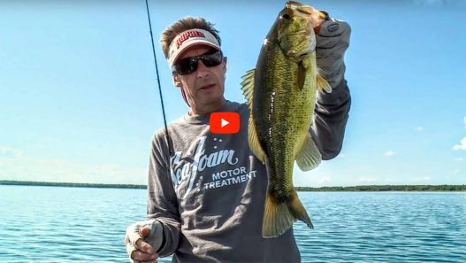 Finesse Tactics for Bass