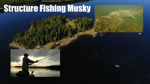 structure fishing musky