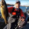 Deep Water Smallmouth