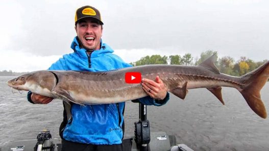 Sturgeon Fishing