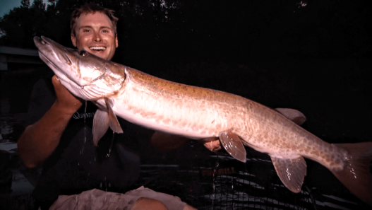 Topwater Musky