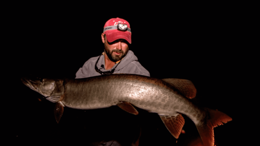5 Structure Fishing Musky