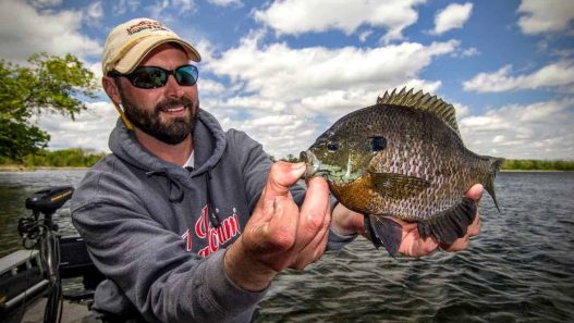 Panfish 101