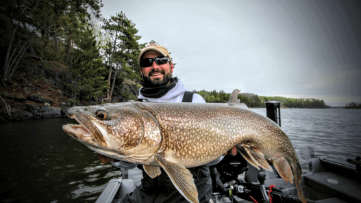 Ice Out Lake Trout