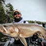 Ice Out Lake Trout