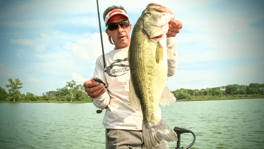 Swing Jig Largemouth