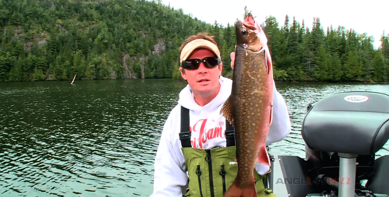 Canadian Brook Trout