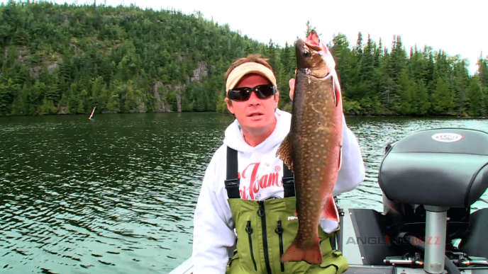 Canadian Brook Trout