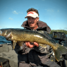 Bottom Bouncing Walleye