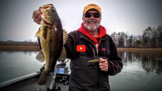 Cold-Water-Largemouth