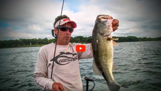 Largemouth Bass Electronics