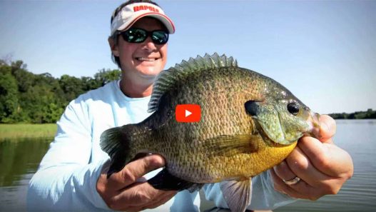 Finding Summer Bluegills