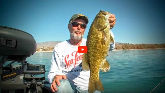 Finesse Fishing Smallmouth