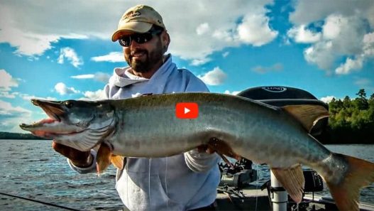 Late Summer Muskie Hunt