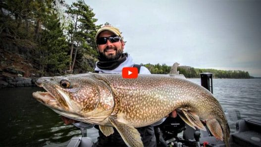 Ice out lake trout