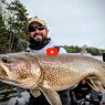 Ice out lake trout