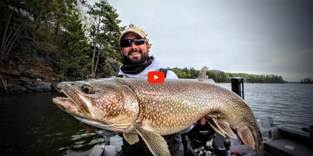 Ice out lake trout