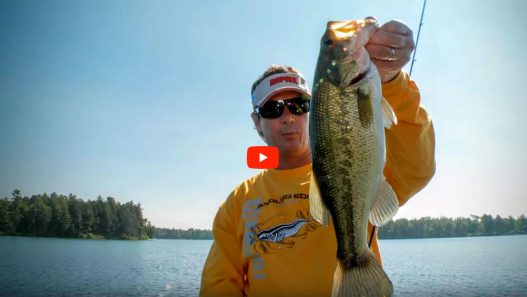 Clear Water Largemouth Bass