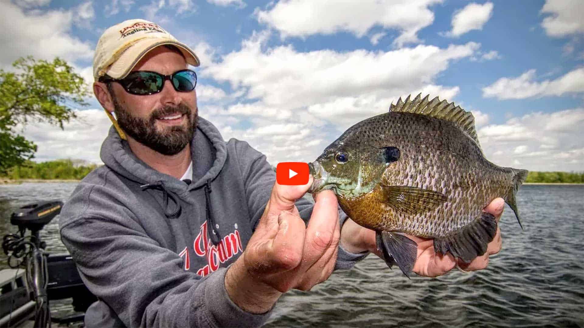 Panfish 101, Giant Bluegill Tactics and More!