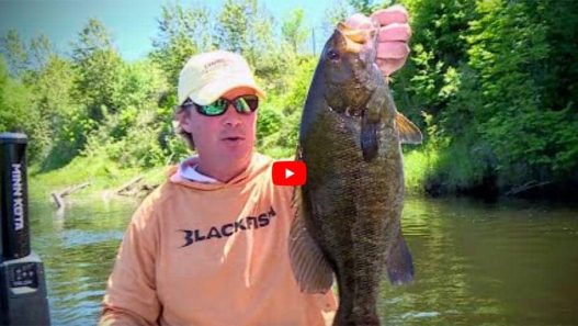 River Smallmouth Bass