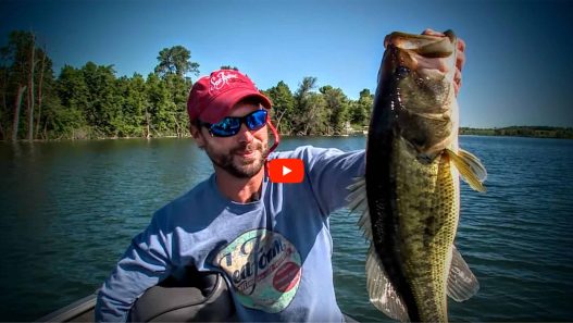 Scatter-Rap-Largemouth