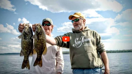 In-Seine Smallmouth Bass Early