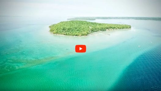 Sight Fishing Lake Michigan