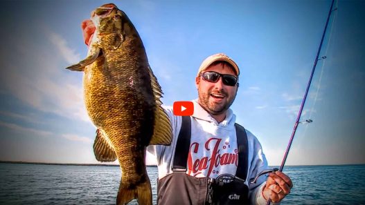Swim Baits for Smallmouth Bass