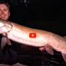 Top-Water-Musky