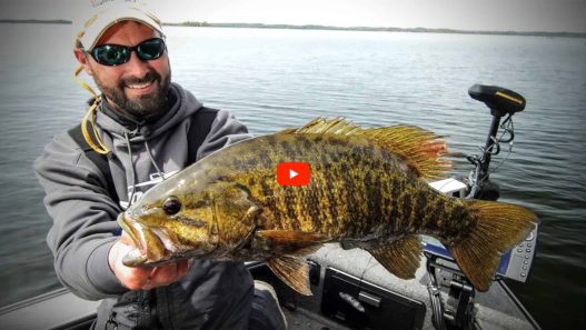 Understand Smallmouth Bass