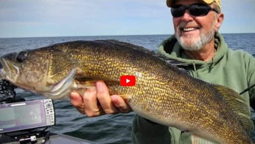 Weather Walleye