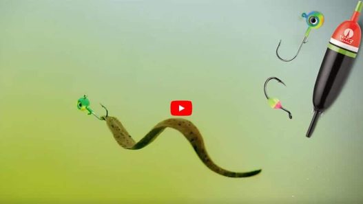 Bobber Fishing Walleye