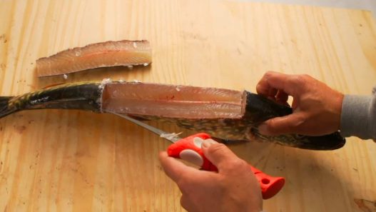 Fillet a Pike