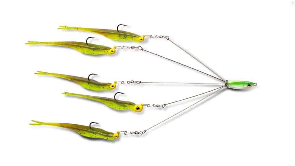 Top 5 Budget Bass Baits for Fall