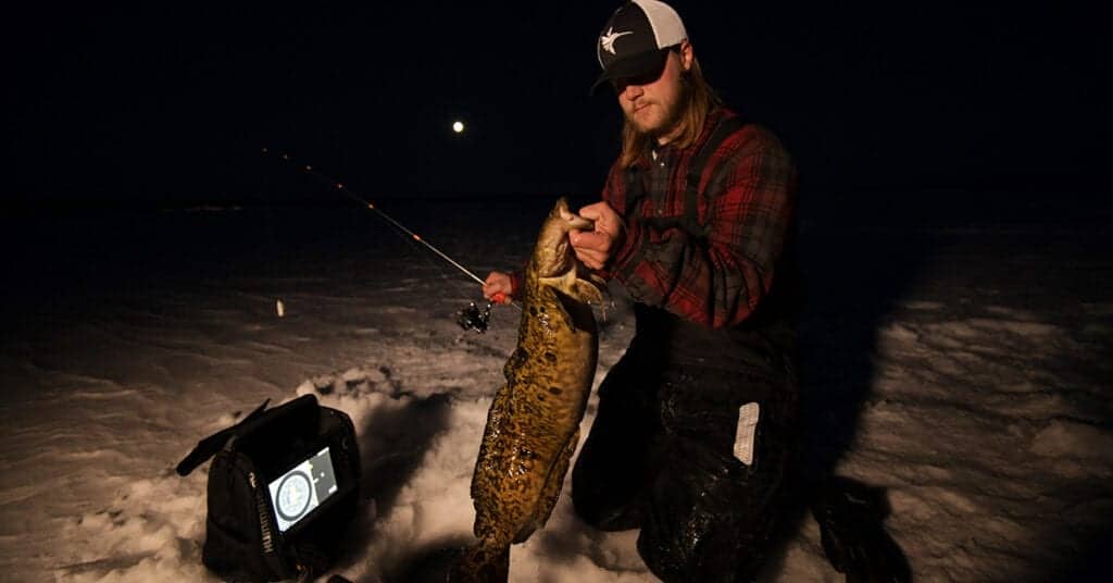 multispecies ice fishing