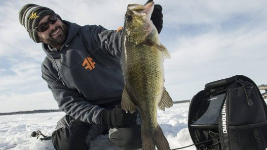 Multispecies Ice Fishing