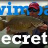 Swimbait Secrets