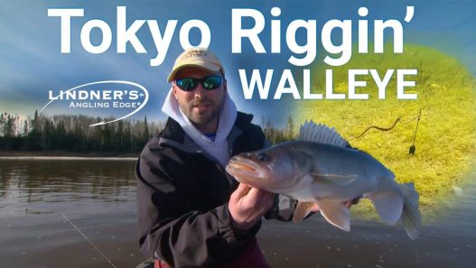 Tokyo Rigging Walleye