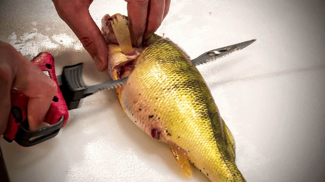 Clean fish fast and efficiently with Rapala® electric fillet