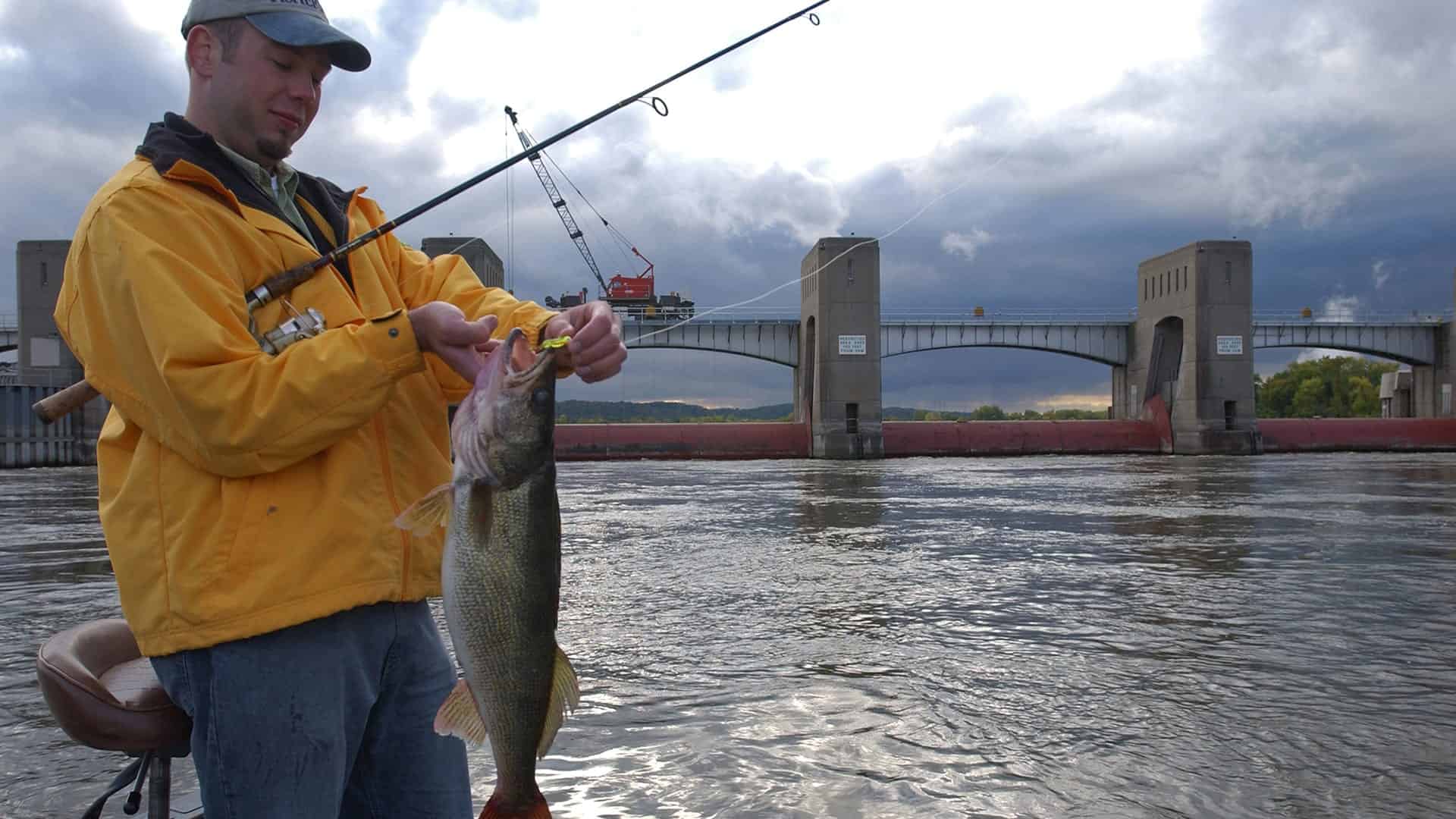 Catching River Walleyes