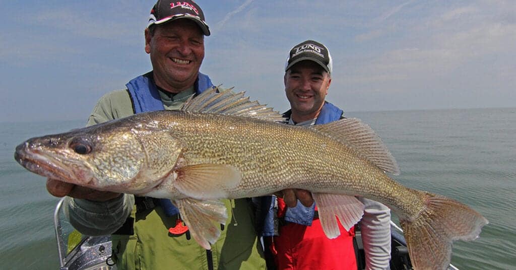 Hour of Power Walleyes - MidWest Outdoors
