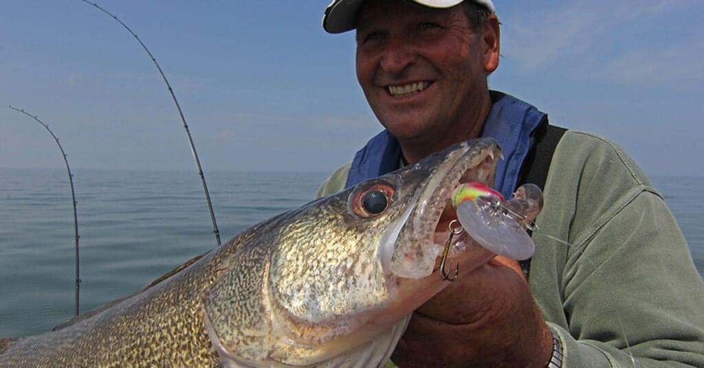 Offshore Trolling for Trophy Walleyes and Muskies