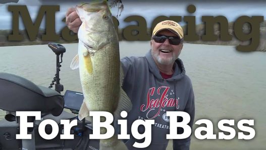 Managing For Big Bass
