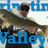 springtime walleye