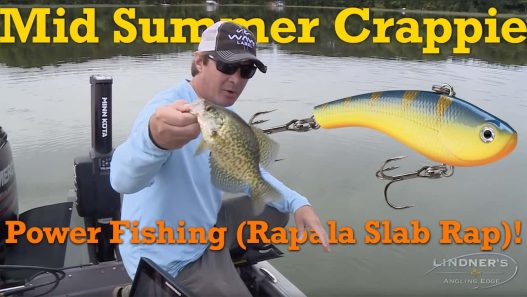 Mid-Summer Crappie