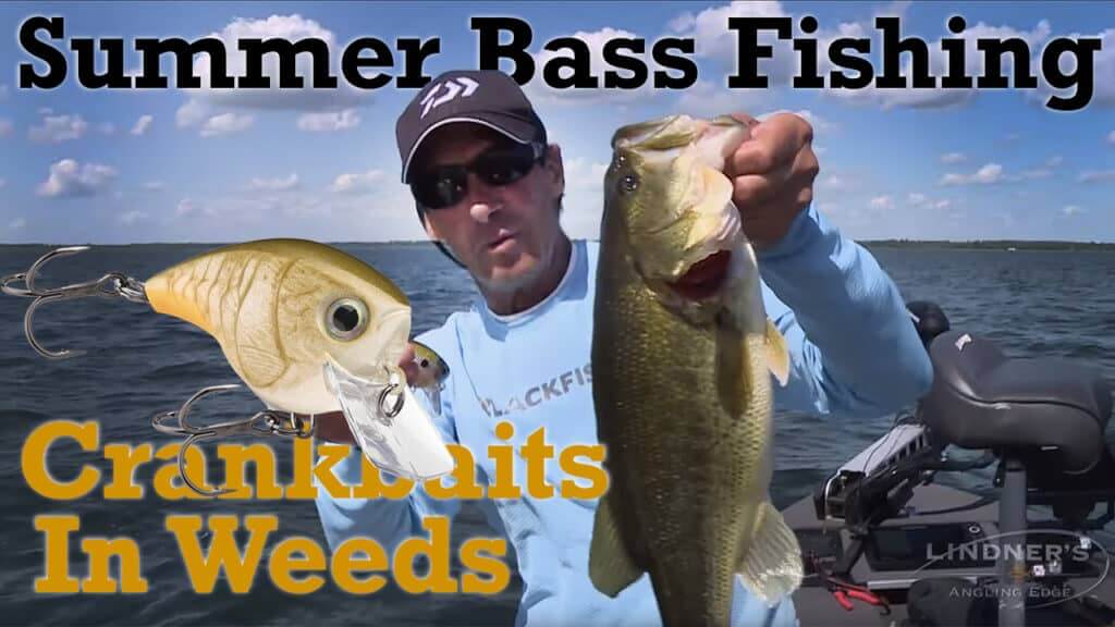 Summer Bass Fishing Crankbaits in Weeds