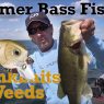Summer Bass Fishing Crankbaits in Weeds