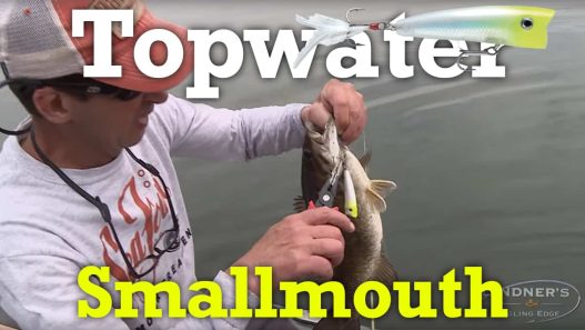 Topwater Smallmouth
