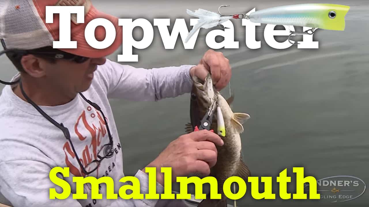 Topwater smallies - Bassmaster